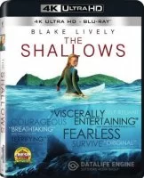 The Shallows - Gefahr aus der Tiefe 4K 2016 poster