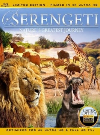 Serengeti Nature's Greatest Journey 4K 2015 poster