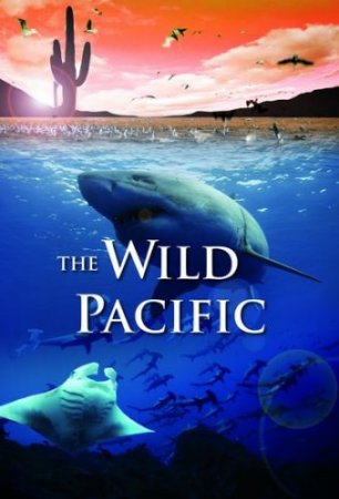The Wild Pacific 4K 2016 poster