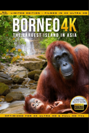 Borneo: The Fascination of Asia 4K DOCU 2017 poster