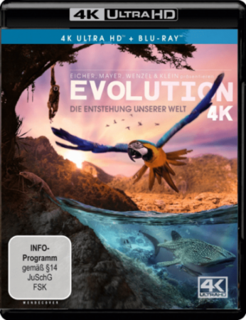 Evolution 4K 2018