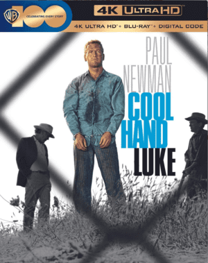 Cool Hand Luke 4K 1967 poster